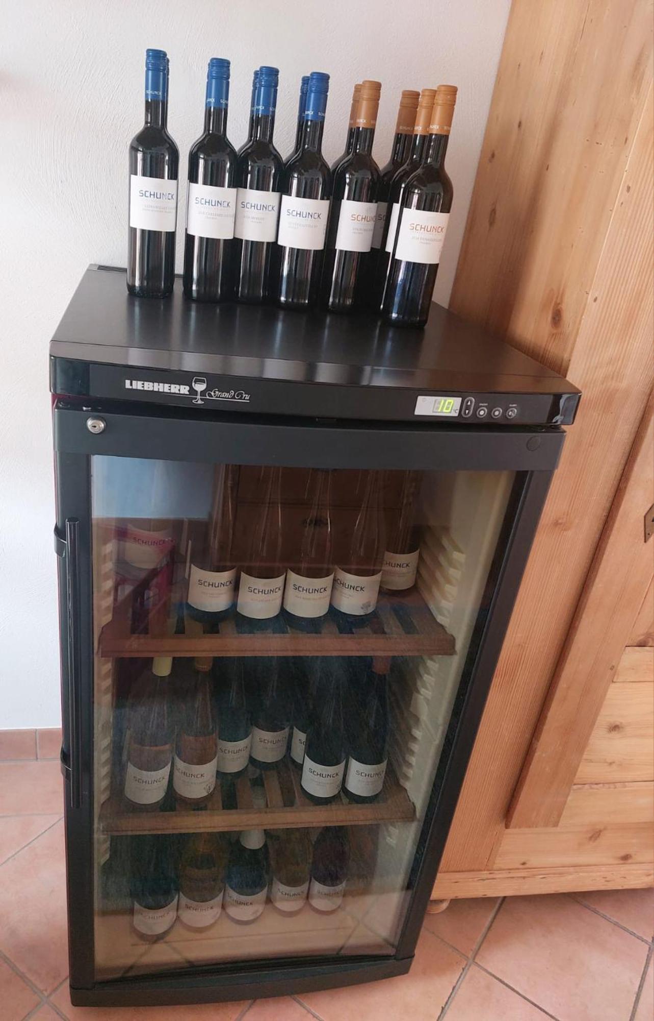 Weingut Schunck Διαμέρισμα Leinsweiler Εξωτερικό φωτογραφία